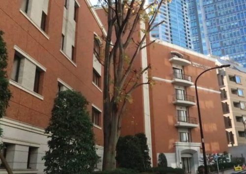 山脇学園中学校