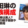 村田琳