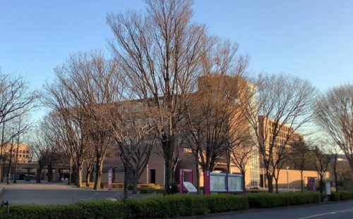 東京外国語大学